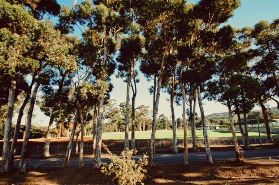 3 Bedroom Property for Sale in Parel Vallei Western Cape